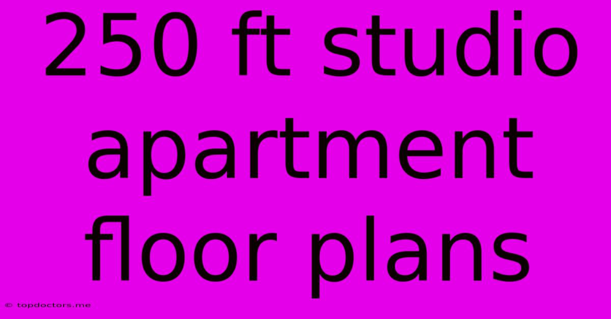 250 Ft Studio Apartment Floor Plans 250 Ft Studio Apartment Floor Plans