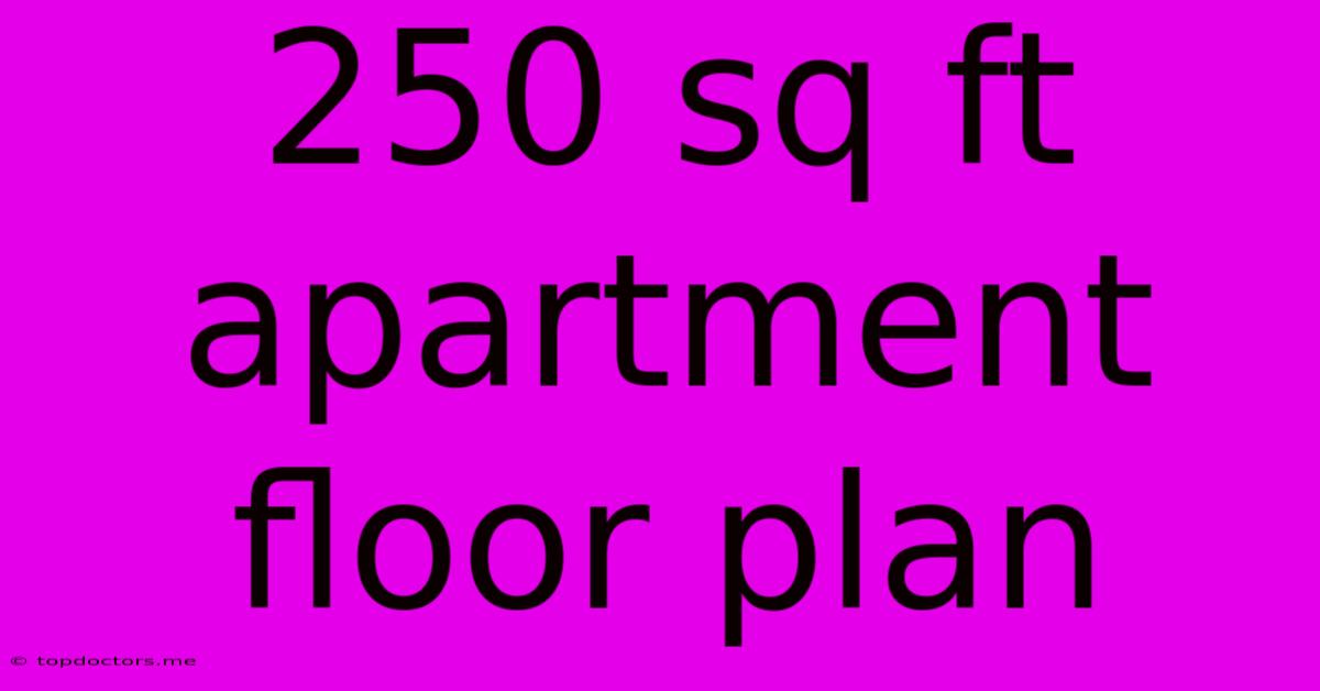 250 Sq Ft Apartment Floor Plan
