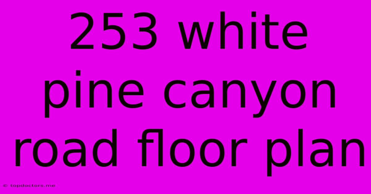 253 White Pine Canyon Road Floor Plan