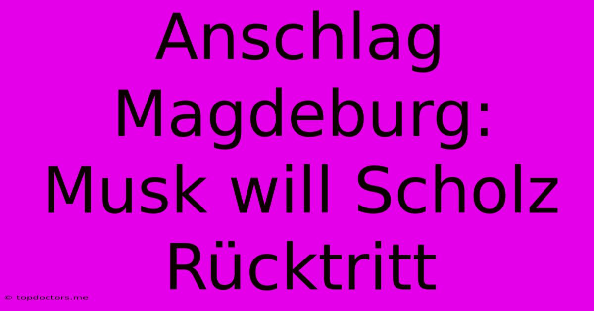 Anschlag Magdeburg: Musk Will Scholz Rücktritt Anschlag Magdeburg: Musk Will Scholz Rücktritt