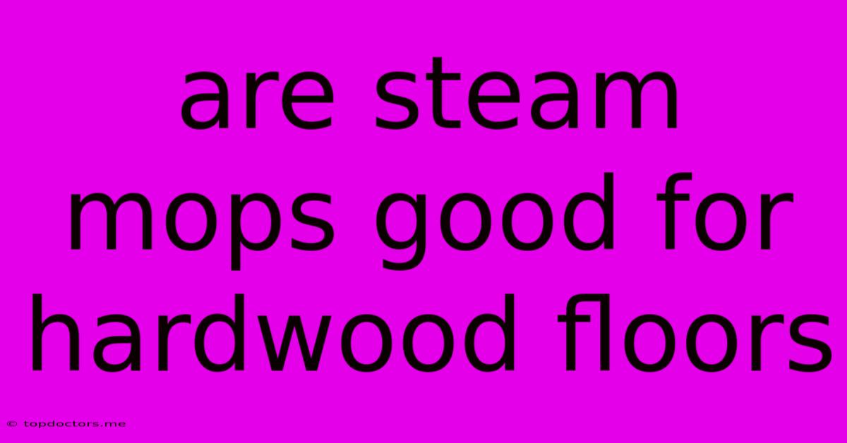 Are Steam Mops Good For Hardwood Floors Are Steam Mops Good For Hardwood Floors