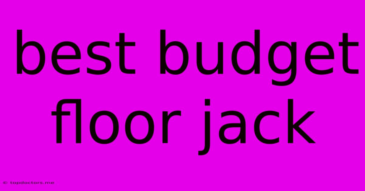 Best Budget Floor Jack Best Budget Floor Jack
