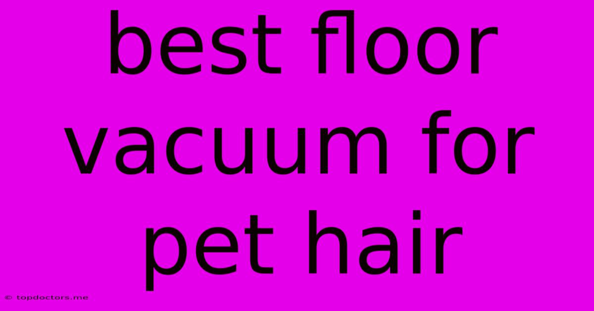 Best Floor Vacuum For Pet Hair Best Floor Vacuum For Pet Hair