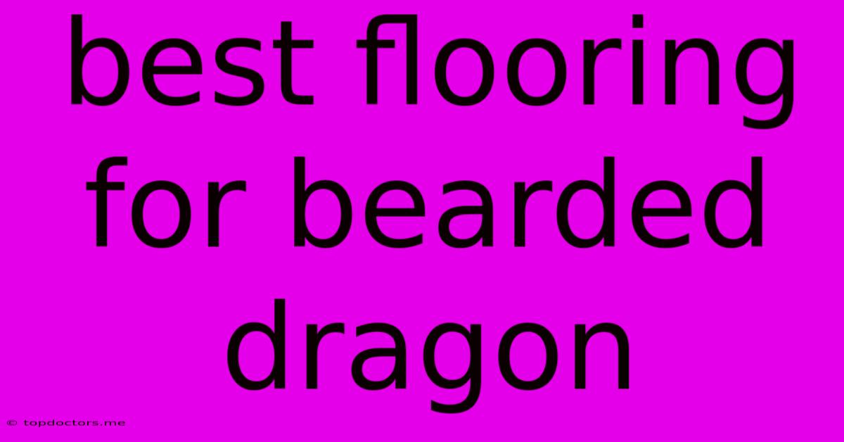 Best Flooring For Bearded Dragon Best Flooring For Bearded Dragon