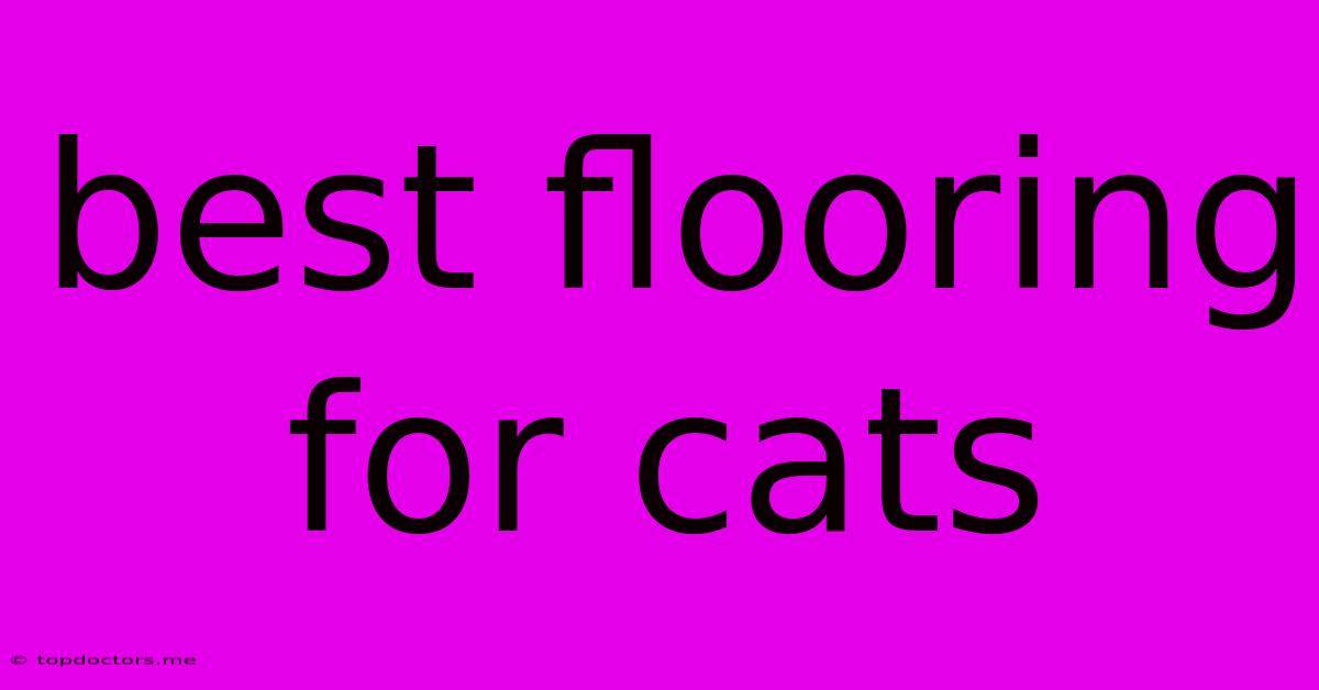 Best Flooring For Cats