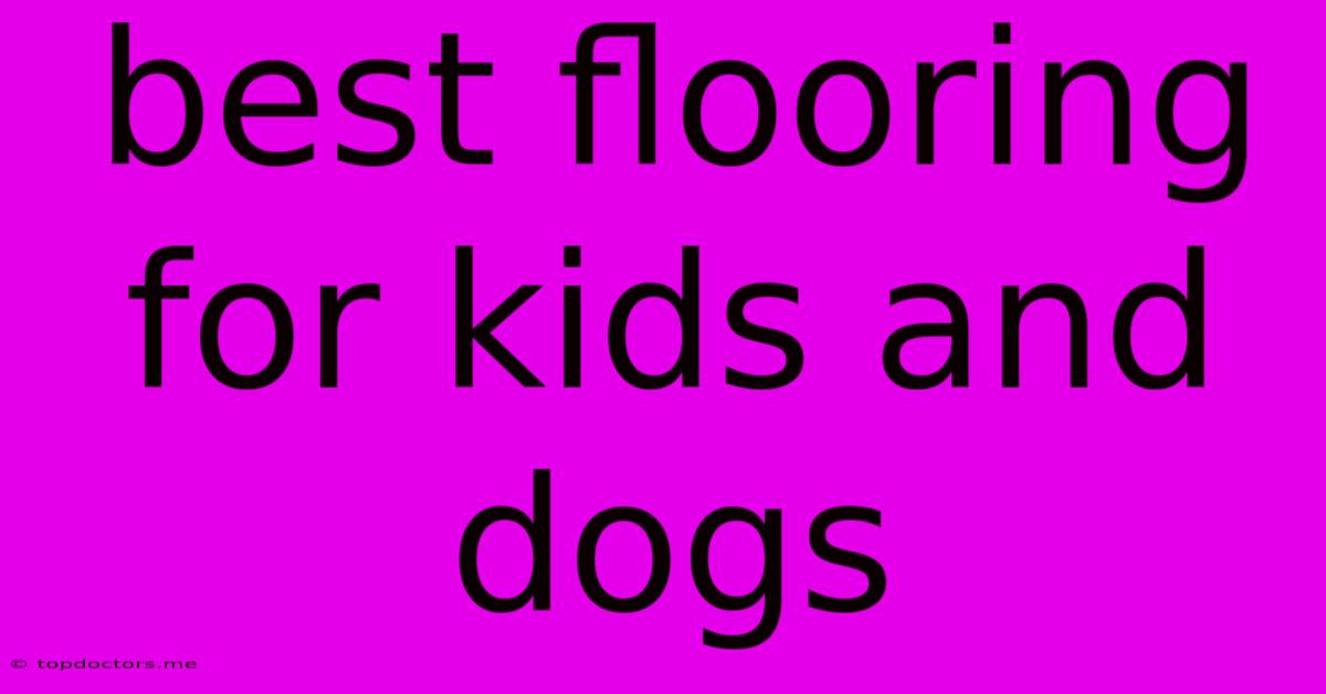 Best Flooring For Kids And Dogs Best Flooring For Kids And Dogs