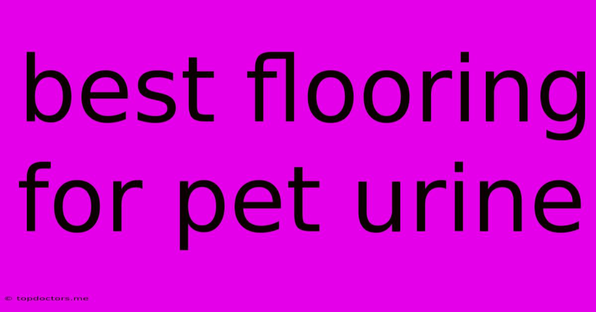 Best Flooring For Pet Urine