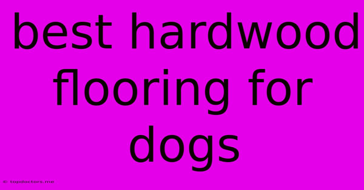 Best Hardwood Flooring For Dogs Best Hardwood Flooring For Dogs