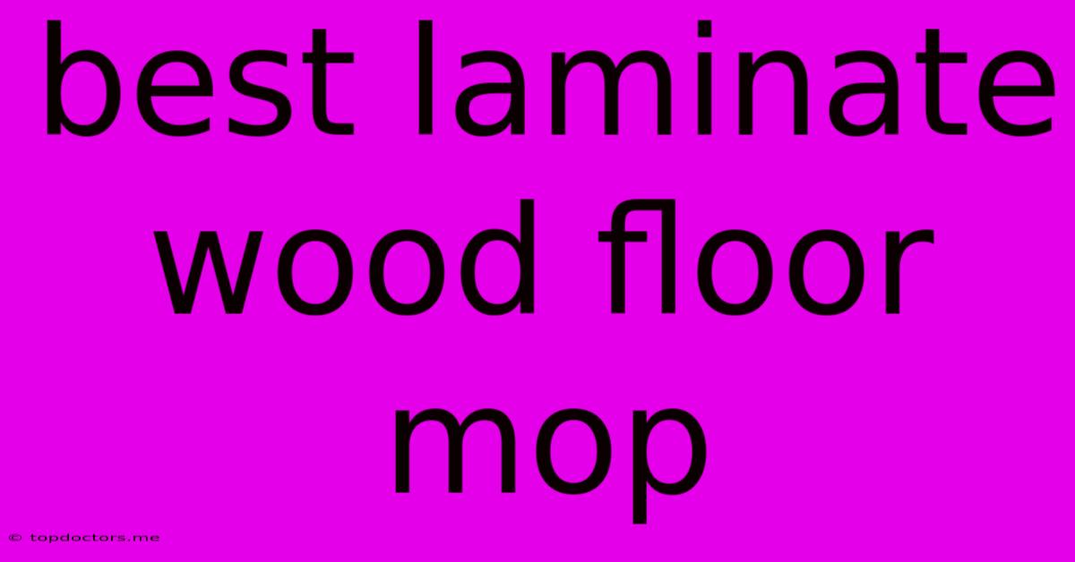 Best Laminate Wood Floor Mop Best Laminate Wood Floor Mop