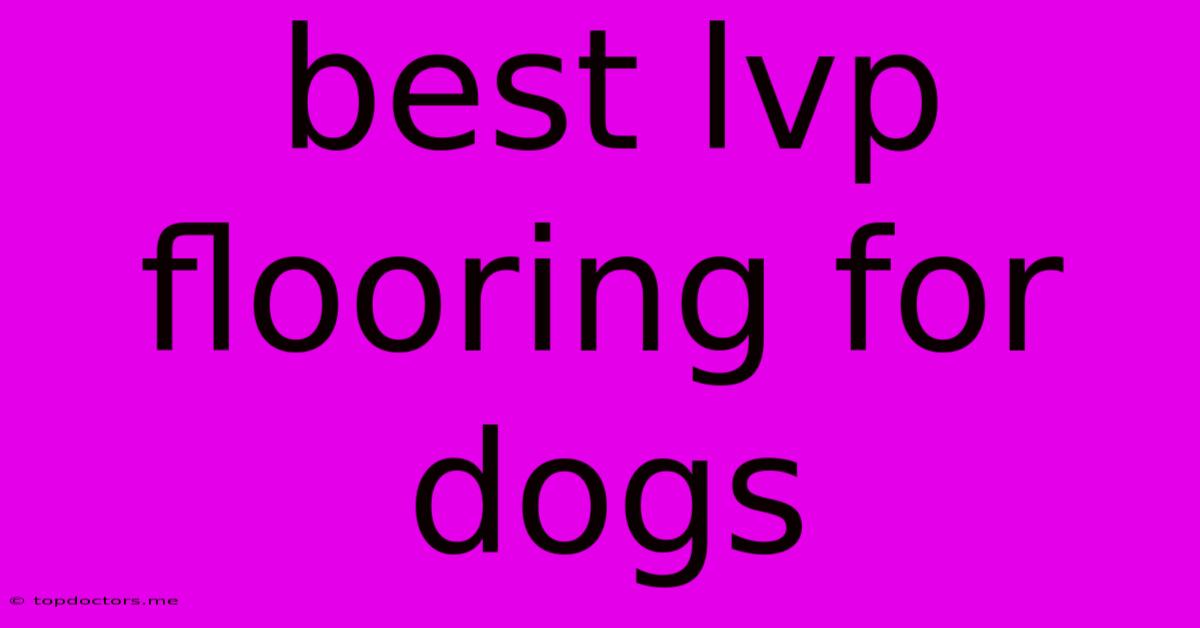 Best Lvp Flooring For Dogs Best Lvp Flooring For Dogs