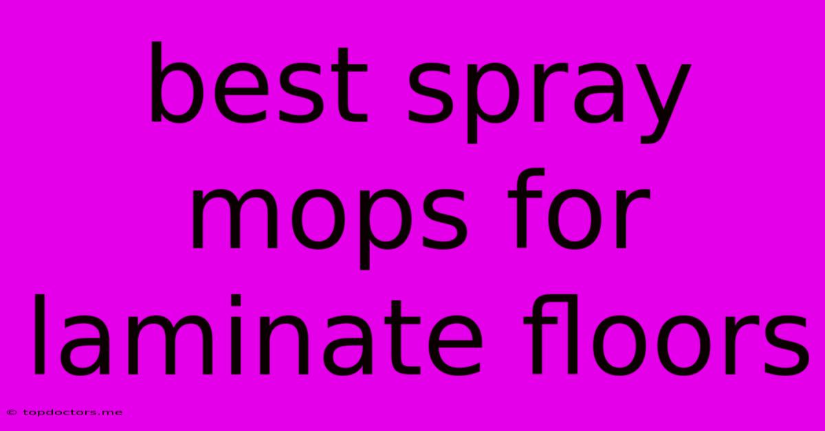 Best Spray Mops For Laminate Floors Best Spray Mops For Laminate Floors