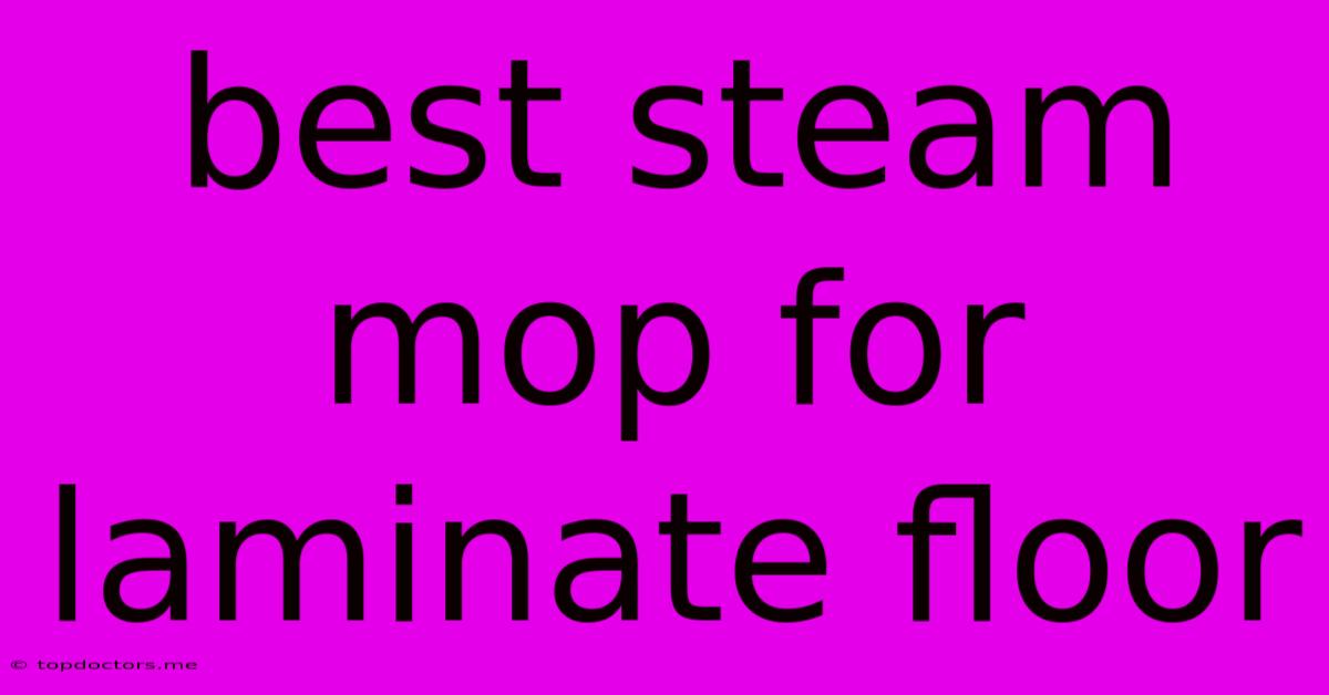 Best Steam Mop For Laminate Floor Best Steam Mop For Laminate Floor