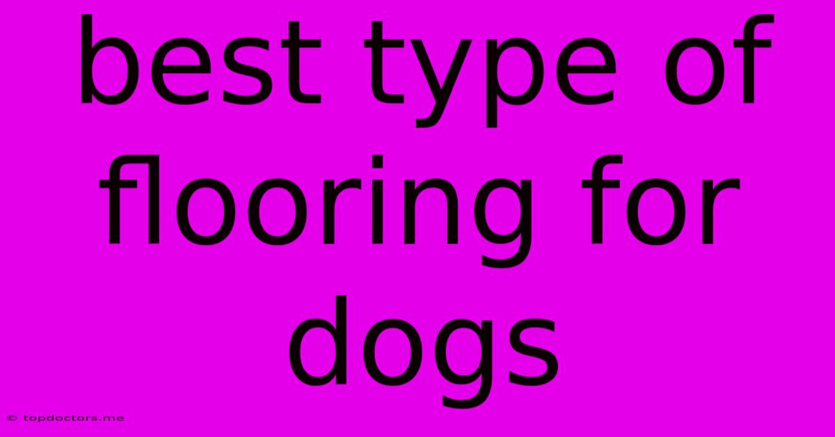 Best Type Of Flooring For Dogs