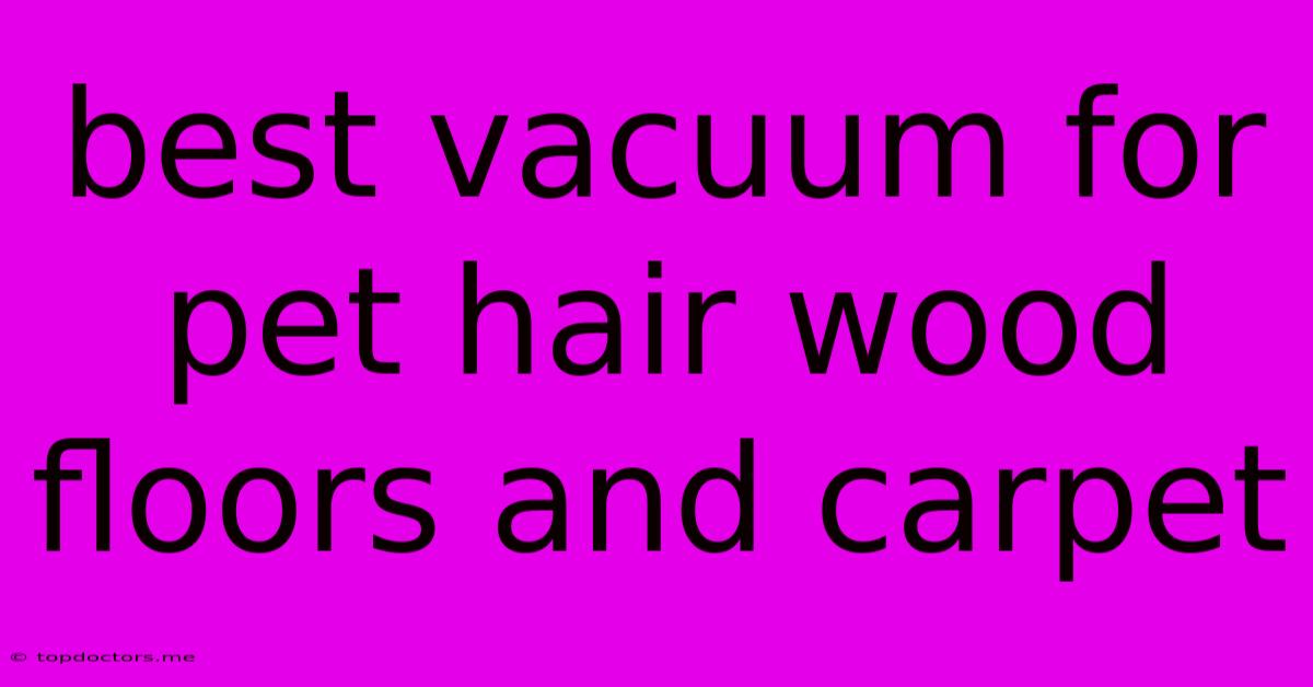 Best Vacuum For Pet Hair Wood Floors And Carpet Best Vacuum For Pet Hair Wood Floors And Carpet