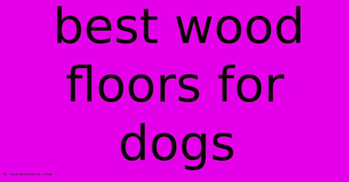 Best Wood Floors For Dogs Best Wood Floors For Dogs