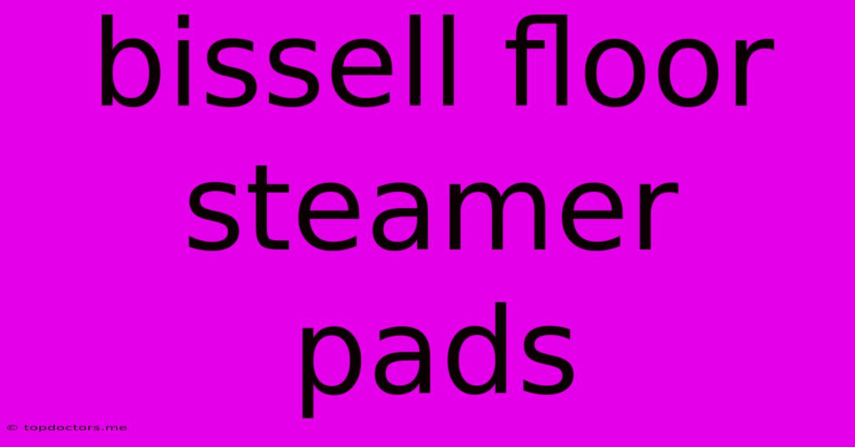 Bissell Floor Steamer Pads Bissell Floor Steamer Pads