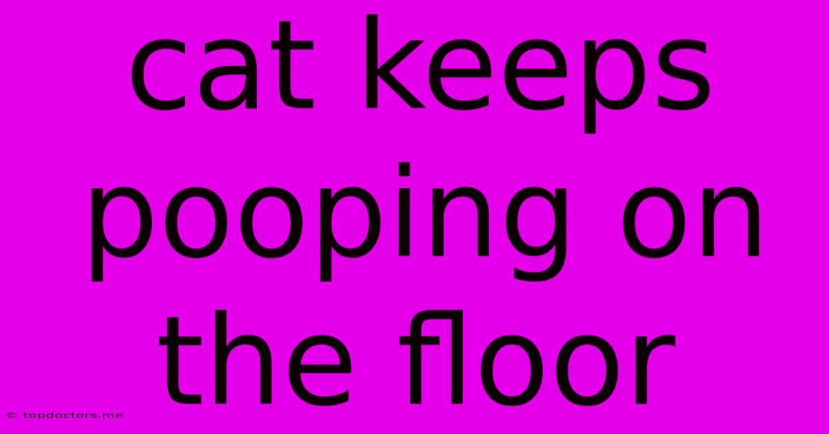Cat Keeps Pooping On The Floor Cat Keeps Pooping On The Floor