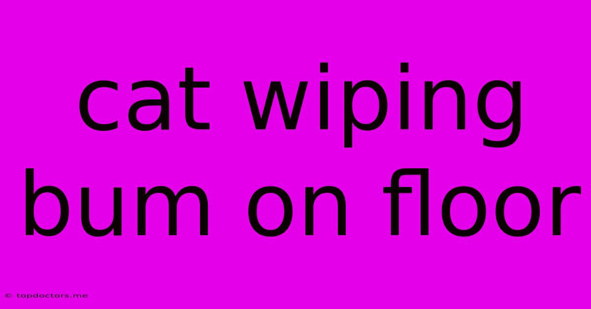 Cat Wiping Bum On Floor Cat Wiping Bum On Floor