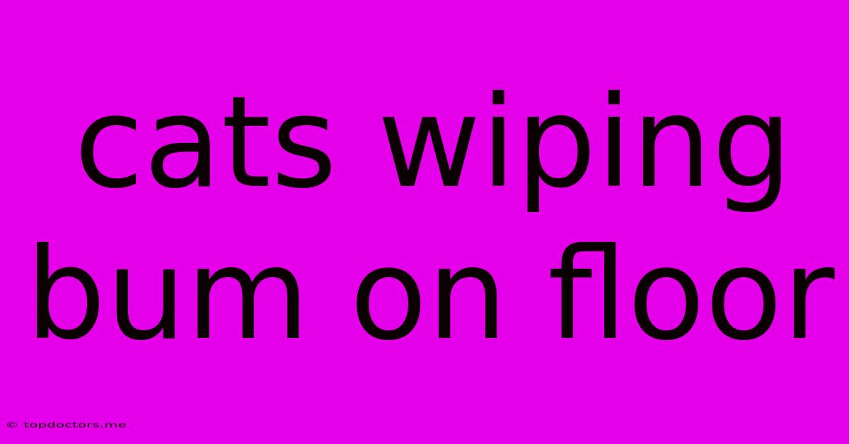 Cats Wiping Bum On Floor