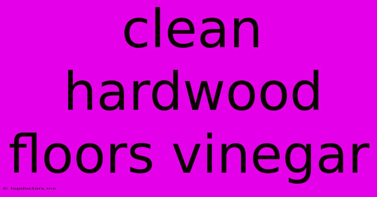 Clean Hardwood Floors Vinegar Clean Hardwood Floors Vinegar