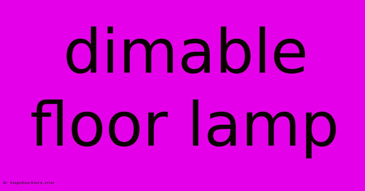 Dimable Floor Lamp
