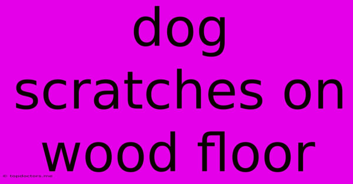 Dog Scratches On Wood Floor