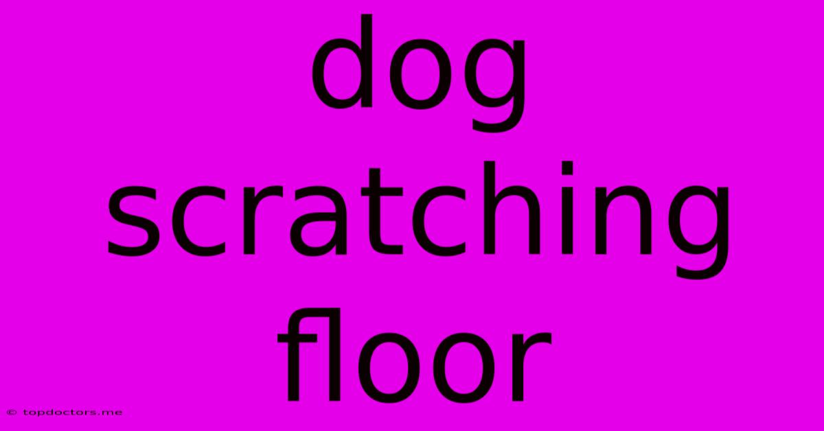 Dog Scratching Floor Dog Scratching Floor