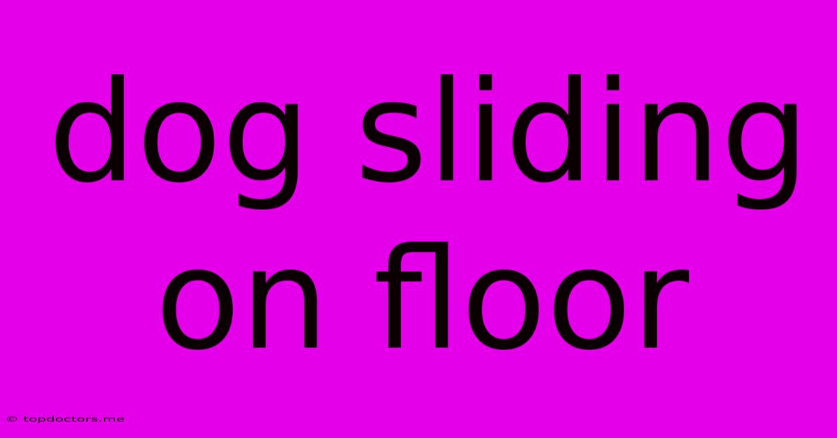 Dog Sliding On Floor Dog Sliding On Floor