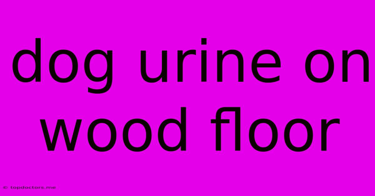 Dog Urine On Wood Floor Dog Urine On Wood Floor