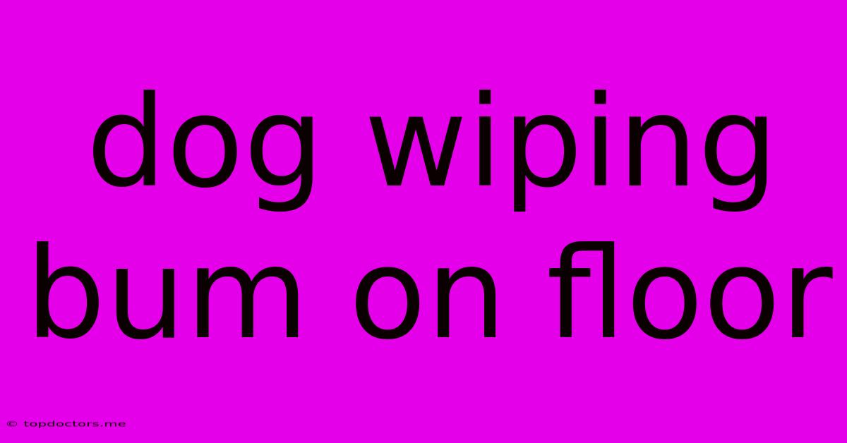 Dog Wiping Bum On Floor