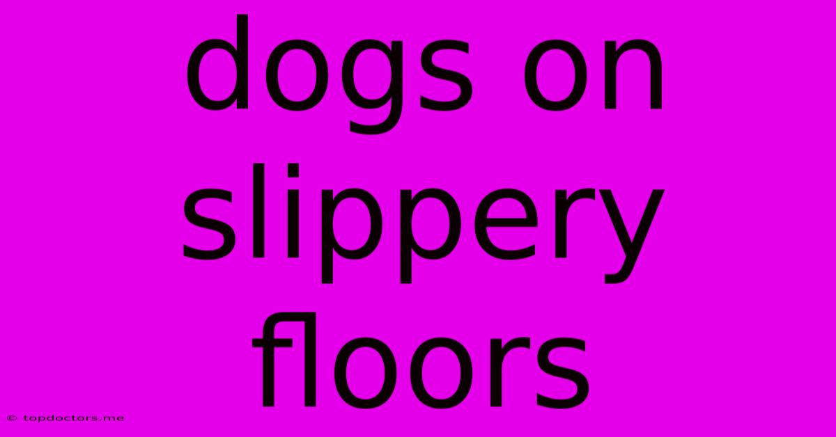Dogs On Slippery Floors