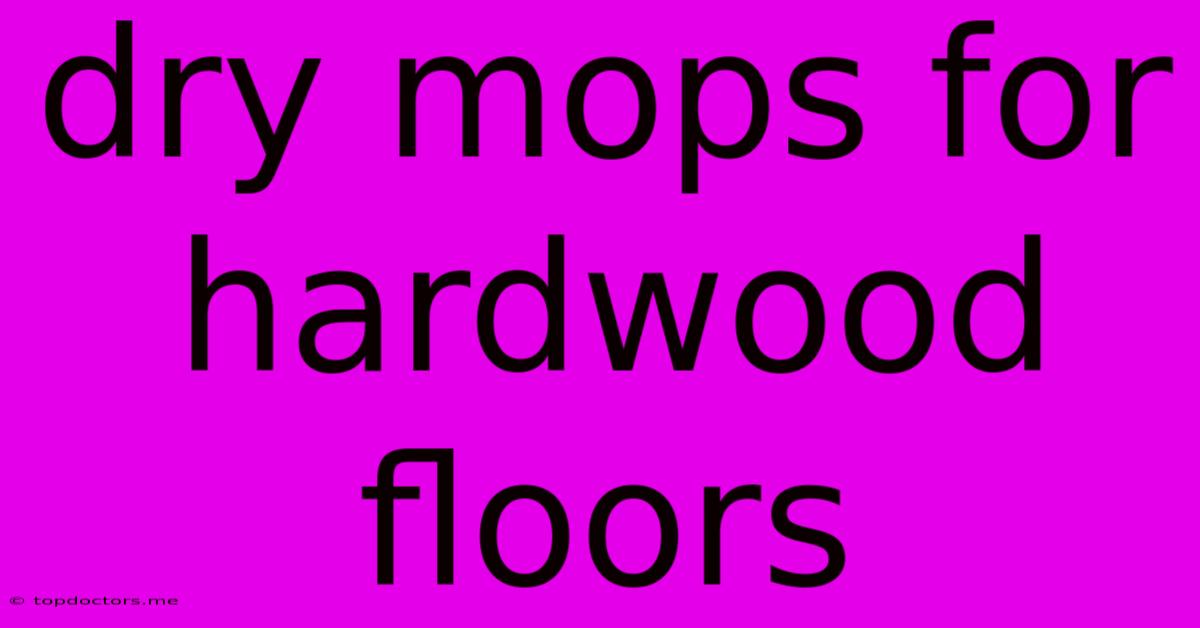 Dry Mops For Hardwood Floors