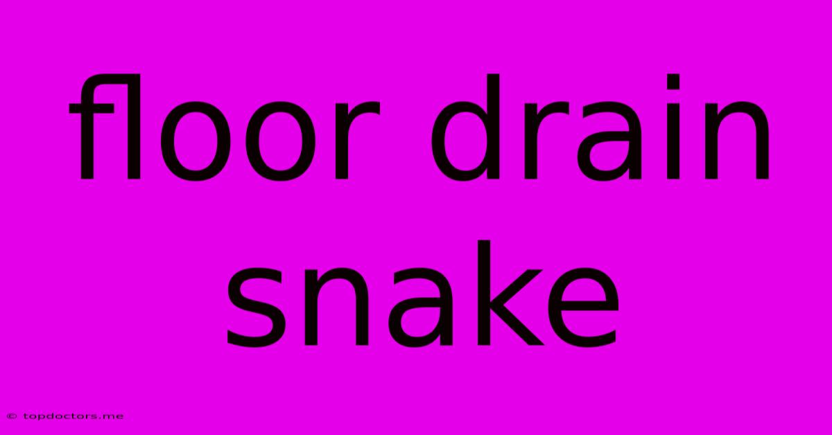 Floor Drain Snake Floor Drain Snake