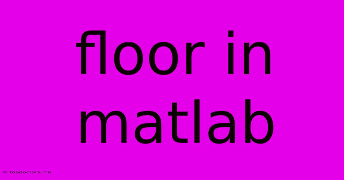 Floor In Matlab