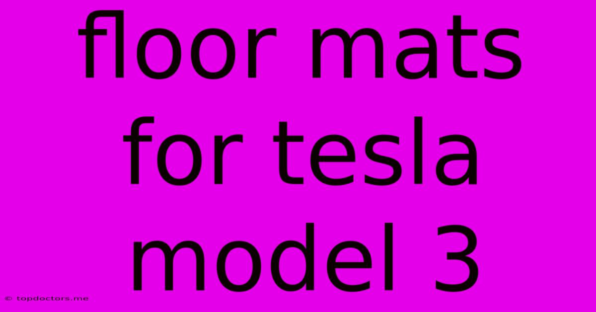 Floor Mats For Tesla Model 3 Floor Mats For Tesla Model 3