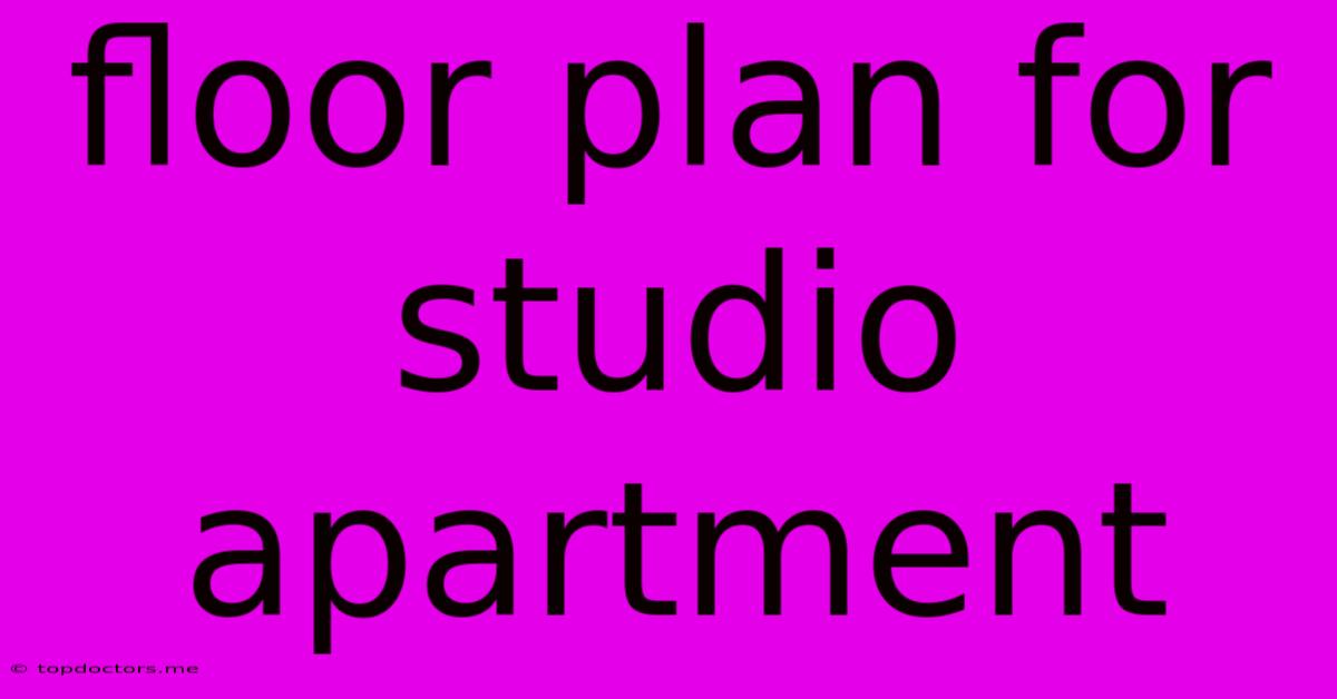 Floor Plan For Studio Apartment Floor Plan For Studio Apartment