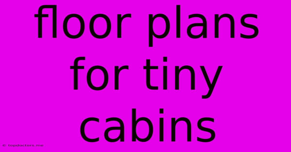 Floor Plans For Tiny Cabins Floor Plans For Tiny Cabins