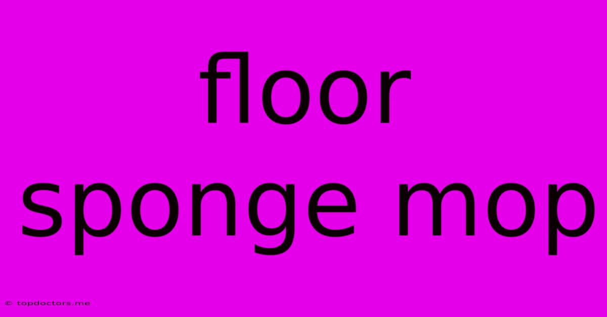 Floor Sponge Mop Floor Sponge Mop