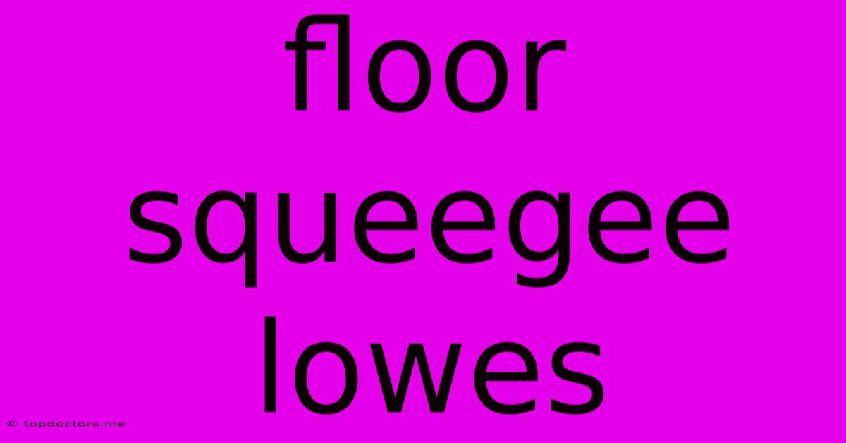 Floor Squeegee Lowes Floor Squeegee Lowes