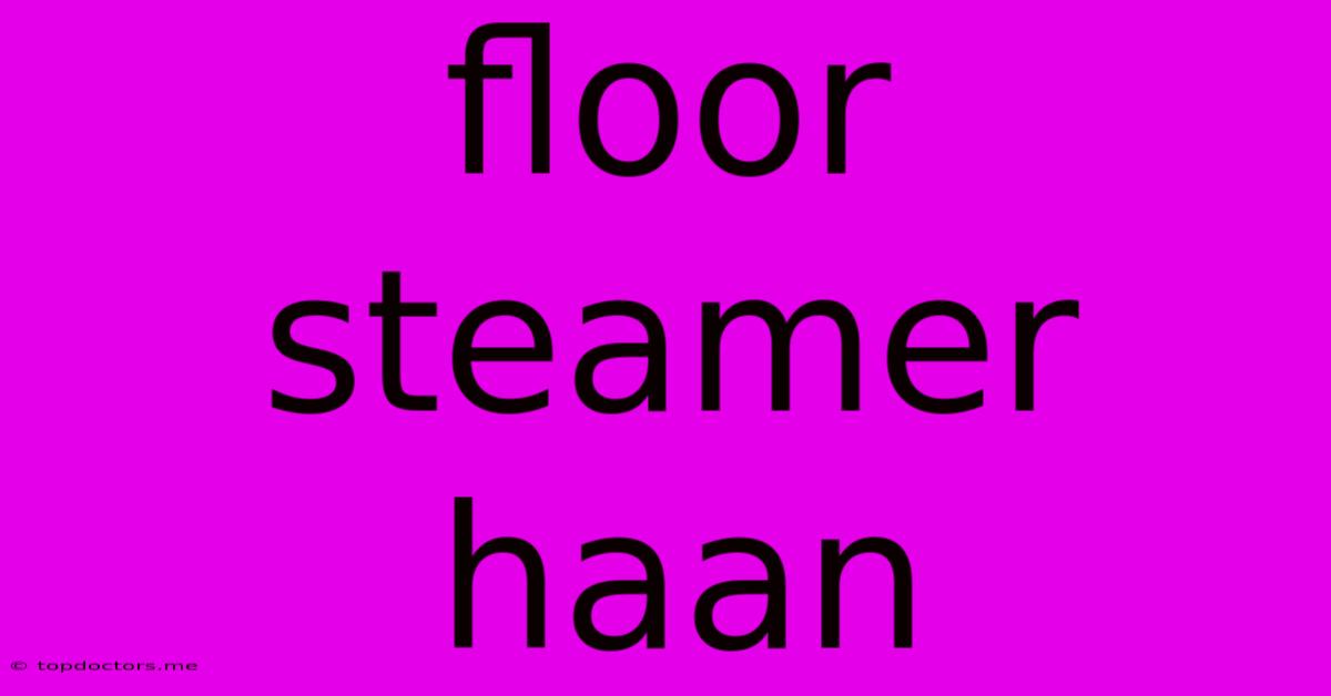 Floor Steamer Haan