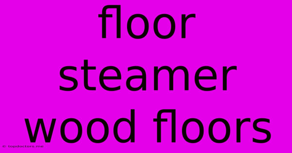 Floor Steamer Wood Floors Floor Steamer Wood Floors