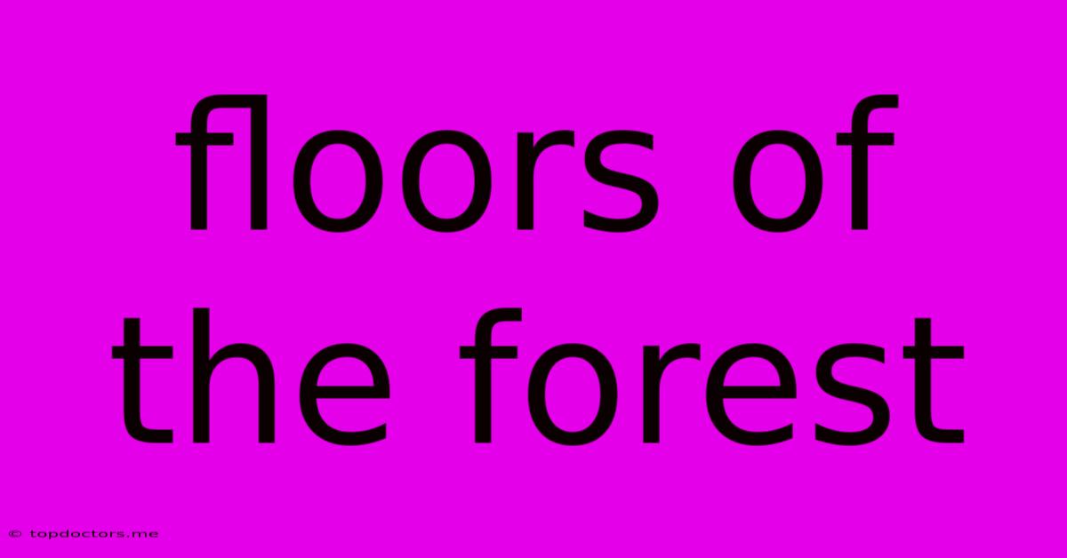 Floors Of The Forest Floors Of The Forest