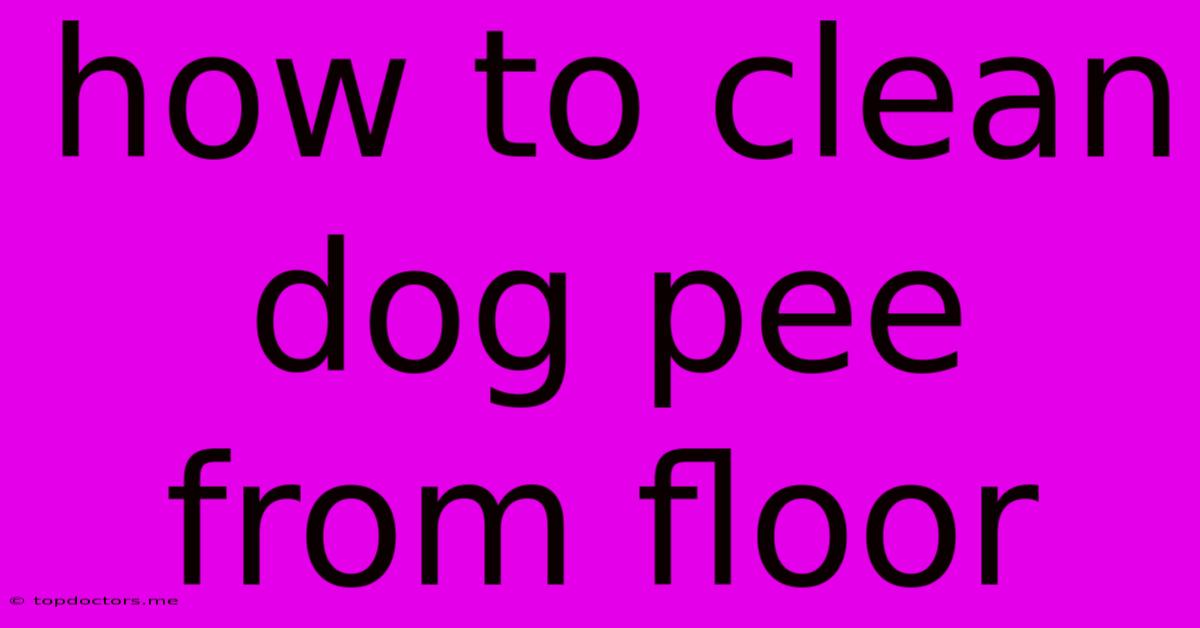 How To Clean Dog Pee From Floor