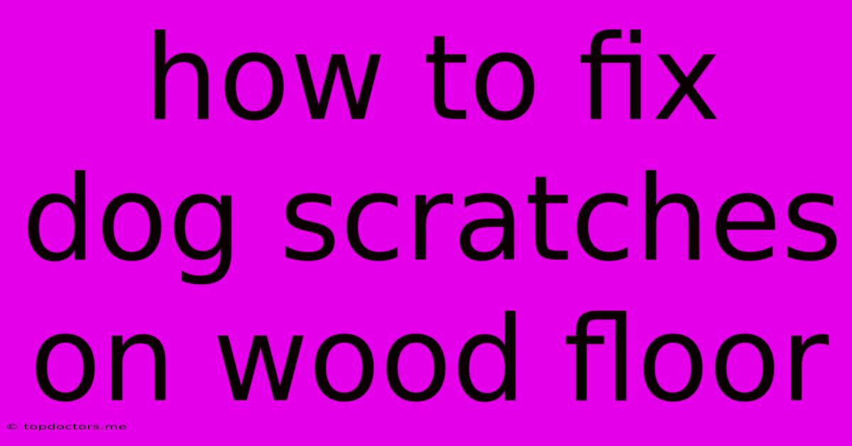 How To Fix Dog Scratches On Wood Floor How To Fix Dog Scratches On Wood Floor