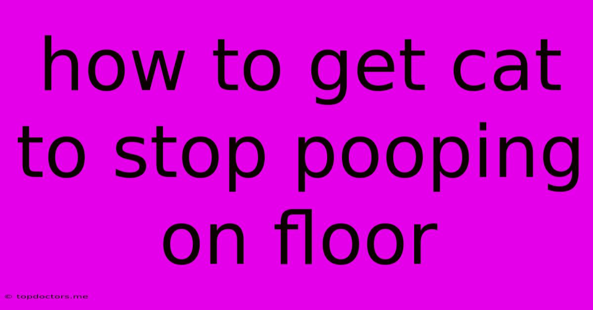 How To Get Cat To Stop Pooping On Floor