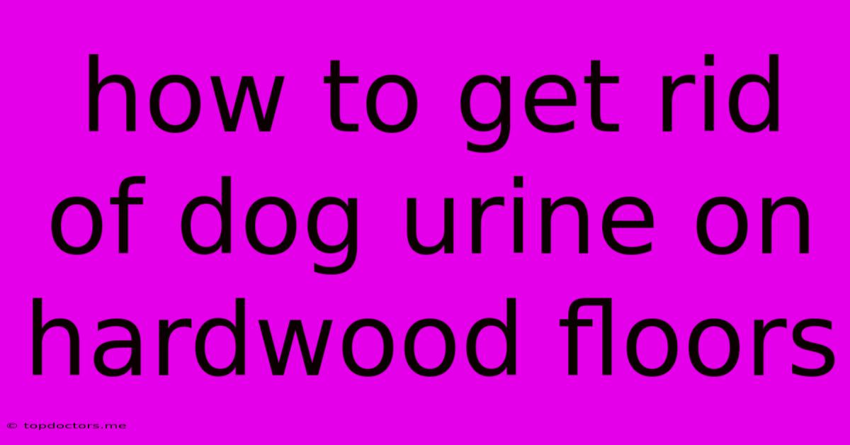How To Get Rid Of Dog Urine On Hardwood Floors How To Get Rid Of Dog Urine On Hardwood Floors