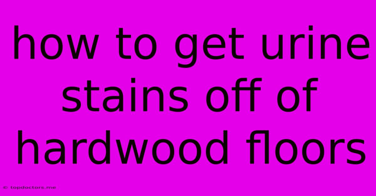 How To Get Urine Stains Off Of Hardwood Floors How To Get Urine Stains Off Of Hardwood Floors