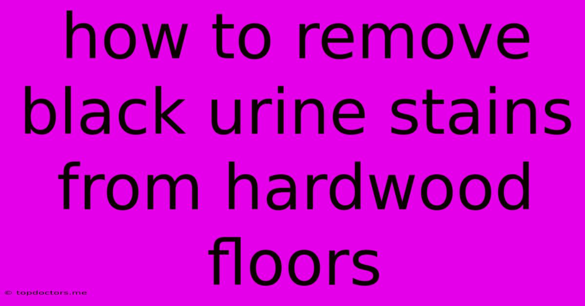 How To Remove Black Urine Stains From Hardwood Floors How To Remove Black Urine Stains From Hardwood Floors