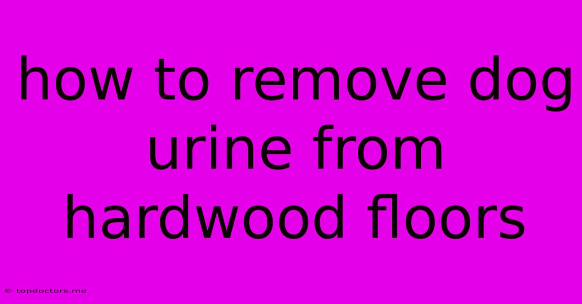 How To Remove Dog Urine From Hardwood Floors