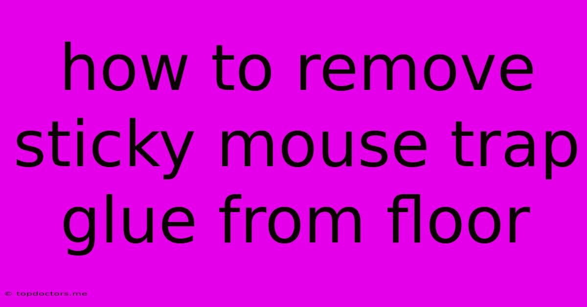 How To Remove Sticky Mouse Trap Glue From Floor How To Remove Sticky Mouse Trap Glue From Floor